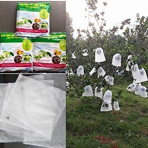 100 Túi bọc bưởi chất liệu vải không dệt giúp bao bọc trái hiệu quả 30x30cm, giúp tránh khỏi những côn trùng gây hại