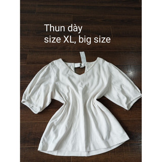 Lô áo thun si lỗi _16