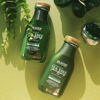 DẦU GỘI XẢ BEAVER TRÀ XANH TEA TREE CHỐNG RỤNG, GIẢM GẦU 730ml