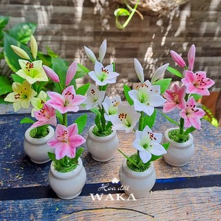 Hoa Đất Sét Mini- Chậu Ly Mini 12cm