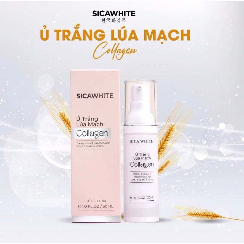 Ủ TRẮNG LÚA MẠCH COLLAGEN SICAWHITE
