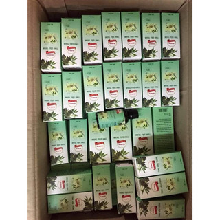 Tinh dầu tràm Cầu Bình An 100ml
