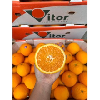 Cam úc vitor ruột vàng 1kg