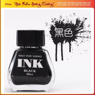 Mực INK 30ml cho bút luyện chữ đẹp bút lông bơm mực và bút máy không lắng cặn