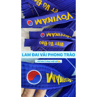 ĐAI PHONG TRÀO TAEKWONDO, VOVINAM