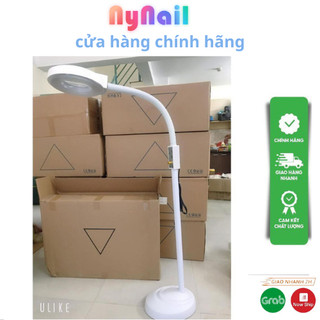 đèn cây nối mi spa