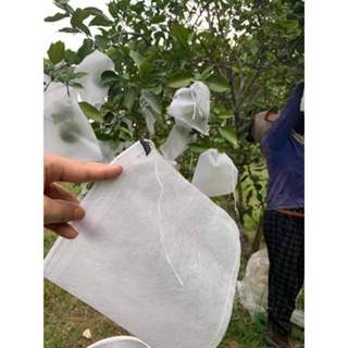 50 CÁI Túi Bọc Các Loại Trái Cây Ổi, Bơ, Xoài, Na.Sung Mỹ.Cam , Lê .Có Dây Rút bao trái cây