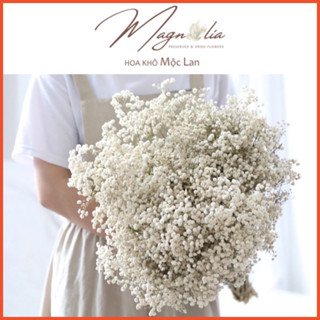 [HÀNG A+] Hoa khô baby trắng cao cấp, bông decor trang trí để bàn, phòng khách, phòng ngủ