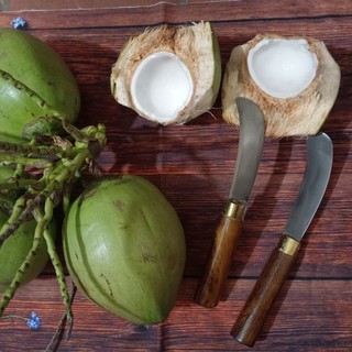 Dao lấy cơm dừa, cùi dừa thép không rỉ