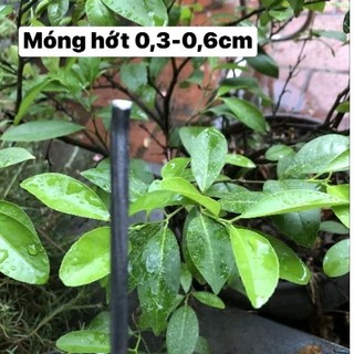 Bộ 3 đục mini (đục bọn sai, làm sáo, đục chạm…)