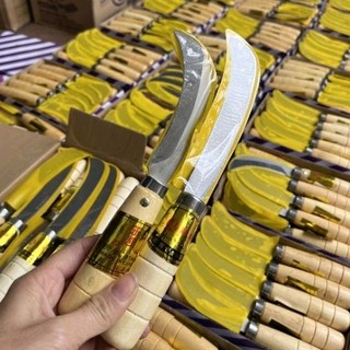 Bộ 2 dao rửa dừa , dụng cụ vệ sinh dừa (dài + ngắn)