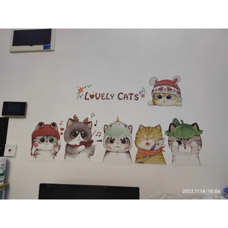 Decal dán tường mẫu Mèo Cute ( kèm kích thước và ảnh thật)