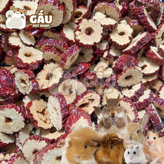 Táo đỏ sấy cắt lát cho hamster / thỏ / bọ ú / sóc