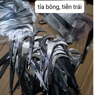 Cu liêm giựt bông. tỉa chồi, tuyển bông, tuyển trái
