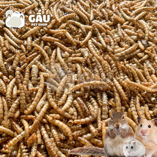Sâu khô ăn vặt cho Hamster