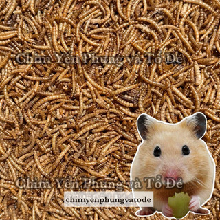 100g Sâu sấy khô Superworm size trung bổ dưỡng - thức ăn: Hamster, gà, chim cảnh, sóc bay...