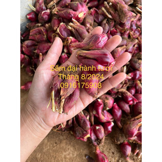 Sâm đại hành đà lạt