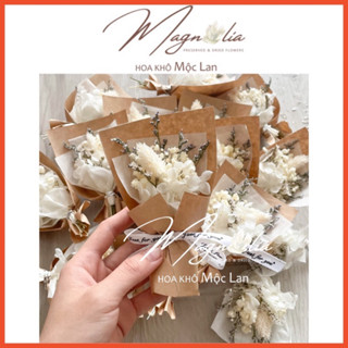 [HÀNG XỊN KHÔNG MỐC] Bó hoa khô mini decor trang trí bỏ hộp quà, phụ kiện chụp ảnh