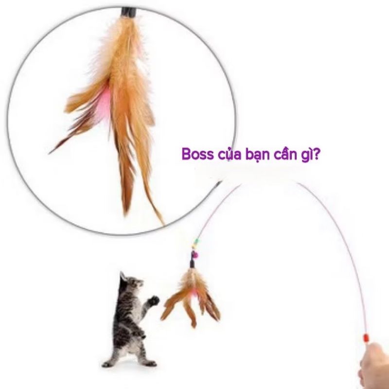 Thức ăn chó mèo - Câu long