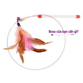 Thức ăn chó mèo - Câu long