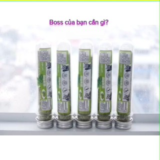 Cỏ mèo Catnip