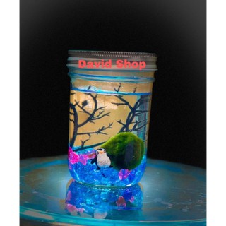 lọ marimo thủy tinh trang trí size lớn