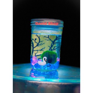 lọ marimo thủy tinh trang trí size lớn