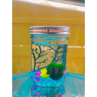 lọ marimo thủy tinh trang trí size lớn