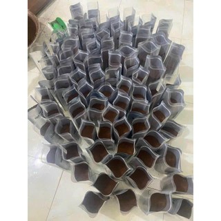 Túi 50gr Cà phê - Cacao - Tinh bột nghệ dùng thử