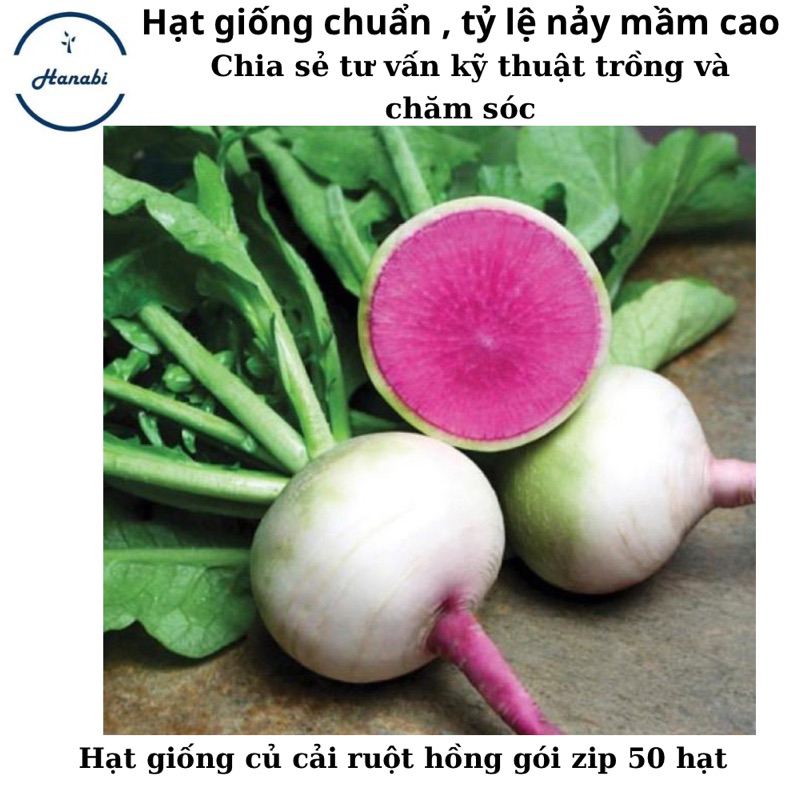 Hạt giống củ cải trắng ruột đỏ