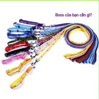 Thức ăn hạt chó mèo - Dây cổ