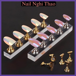 Đế nam châm trưng móng mẫu, tập vẽ, học làm nai nhiều màu