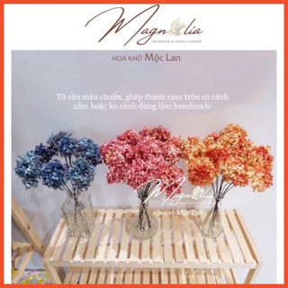 Hoa khô ❤️FREESHIP❤️ Hoa Cẩm Tú Cầu khô nhiều màu đẹp mê mẩn (phần 5gr)