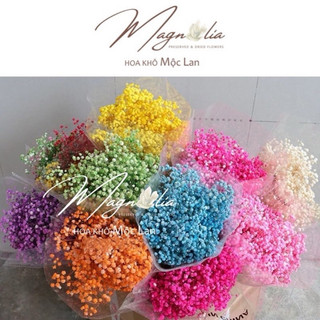 [HÀNG A+] Hoa bi khô decor ❤️FREESHIP❤️ Hoa baby tím trang trí kệ phòng ngủ