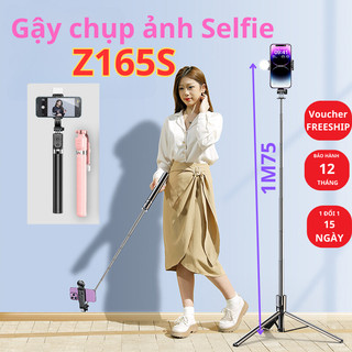 Gậy chụp ảnh Selfie 3 chân Z165S 1M75 có đèn trợ sáng tặng remote Tripod chụp ảnh quay livestream