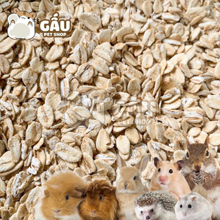 Yến mạch sữa cho hamster / nhím / sóc / thỏ / bọ ú