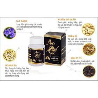 AN PHẾ PLUS