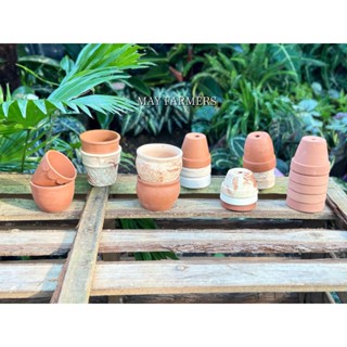 [ MAY ] COMBO Chậu Đất Nung Đồng Size - Trồng Xương Rồng , Sen Đá...