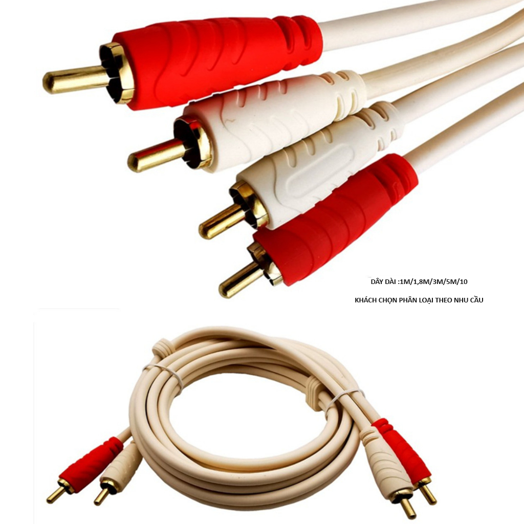 Dây AV hoa sen 2 ra 2 chính hãng Choseal ,cáp AV 2 ra 2 hai đầu hoa sen dài 3m