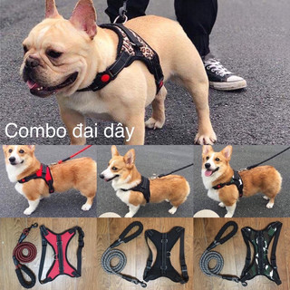 Combo đai yếm + dây dắt cho chó ( CÓ ẢNH THẬT)