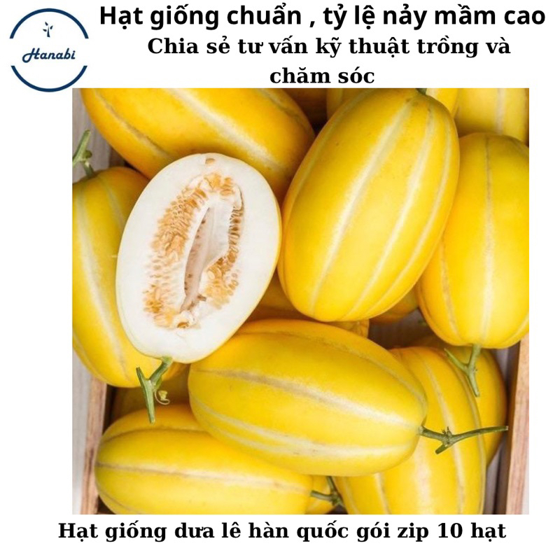 Hạt giống dưa lê hàn quốc