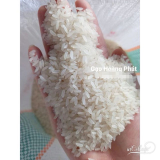 Gạo Thơm Lài .Túi 10kg - Bao Dẻo Mềm Cơm.