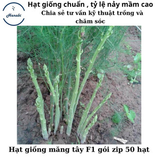 Hạt giống măng tây xanh