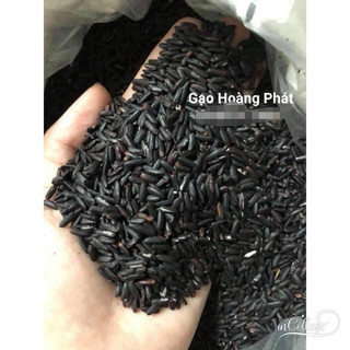 5kg Gạo lứt đen dẻo điện biên - Gạo ăn kiêng.(Hút Chân không).