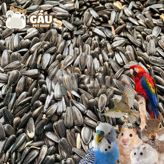 Hướng Dương cho Hamster / Sóc / Chim / Vẹt