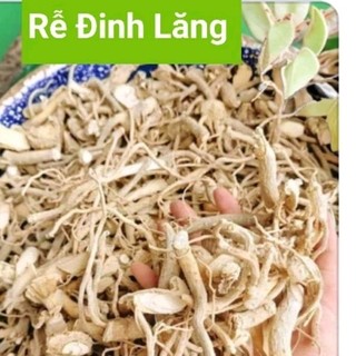 Rễ Đinh lăng nếp khô rễ nhỏ[1kg]