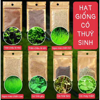 Hạt giống thủy sinh, cây thủy sinh - Trân Châu, Ngưu Mao Chiên, Cỏ Tình Yêu | Dễ Trồng - Không Co2