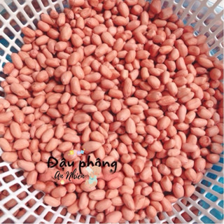 Đậu phộng bóc tay Nghệ An,Lạc nhà trồng Nghệ An