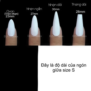 Mã D100 nailbox D.Nails