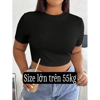 Ams28 áo thun croptop basic